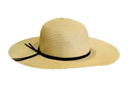 Straw Sun Hat